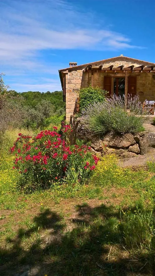 Arnaio Al Giglio Villa Roccastrada Holiday home