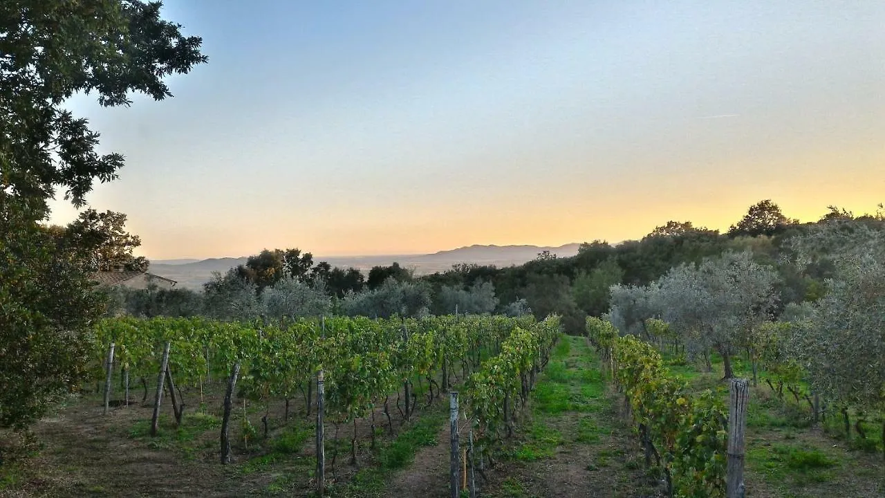 Arnaio Al Giglio Villa Roccastrada