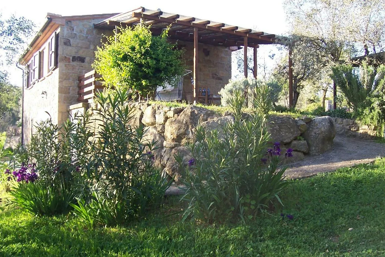 Arnaio Al Giglio Villa Roccastrada Italy